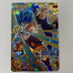 UM11-063 孫悟空:BR