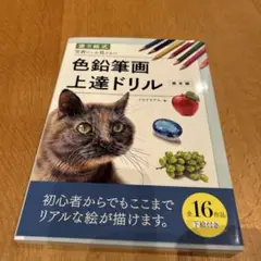 色鉛筆 アート