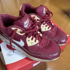 Nike Air Max 90赤 スニーカー
