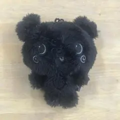 NCTWISH WISHDOLL COLOR サクヤ シークレット 黒 パン