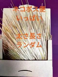 【ネコポスいっぱい】太さ長さランダム　ライ麦　ヒンメリ