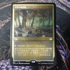2026年最新】禁忌の果樹園 foilの人気アイテム - メルカリ