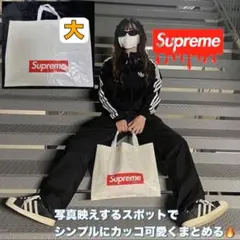 シュプリームショッパ 大supreme shopping bag
