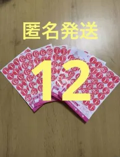 ヤマザキ春のパン祭りお皿2026年　12枚セット　白いフレンチディッシュ