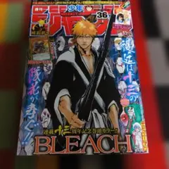 週刊少年ジャンプ 2010年 11号 BLEACH巻頭カラー エース最後回 - メルカリ