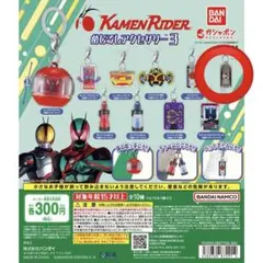 めじるしアクセサリー　仮面ライダー　仮面ライダーカイザ