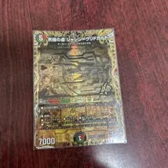 ジャシンヴリドガルド