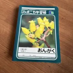 A7 吉川晃司 おとなジャケェノウ 学習帳 ジャポニカノート COMPLEX
