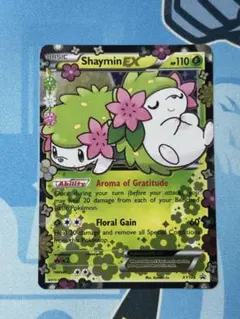 2025年最新】シェイミ 英語の人気アイテム - メルカリ