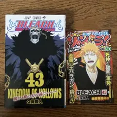 初版帯付き】BLEACH ブリーチ 45巻 ジャンパラ付き - メルカリ