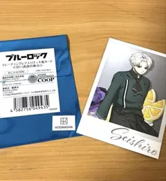 ブルーロック　anisugar 凪誠士郎　レア入りチェキ風カード