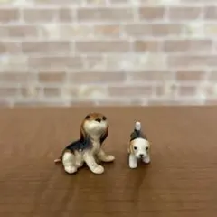 2026年最新】ヘイゲン リネカーの人気アイテム - メルカリ