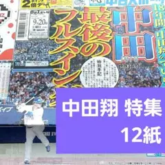 中田翔 特集 12紙全14ページ