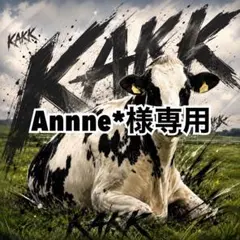 画像内容