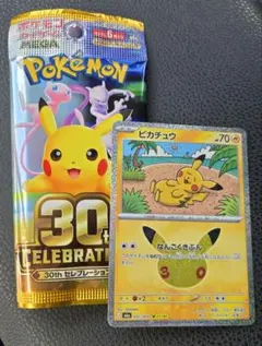 ポケモンカード ピカチュウ なんごくきぶん 1枚