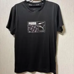 プーマ　Tシャツ　キッズ160