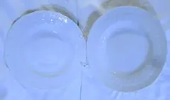 Item thumbnail for item 28d7bd13-934e-4878-934d-c1713036ad3c