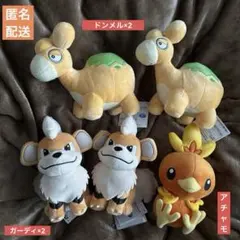 ポケットモンスター ぬいぐるみ～ガーディ・アチャモ・ドンメル〜【5体セット】