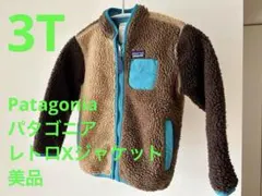 【美品送料込】パタゴニア レトロXジャケット 3T