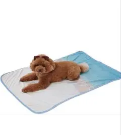 ペティオ　犬猫用 ひんやり ブランケット リバーシブル 100×70 ワイドのサムネイル