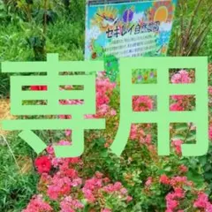 すーさん様専用です。