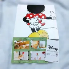 ディズニー ミニー アートボード 花瓶グラフィック アートフラワーベースのサムネイル