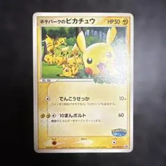 ポケパークのピカチュウ PROMO PCG-Pプロモカード 043/PCG-Pのサムネイル