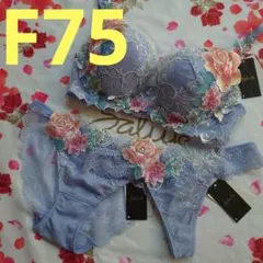 新品サルート09G店舗限定インドの花嫁F75ソングMスタンダードLスワロワコール