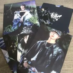 &team EJ ウィジュ ソロジャケ CD