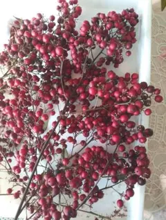 とりたて真っ赤な南天の実完売致しました。本当に有難うございました☆ とりたて真っ赤な南天の実完売致しました 本当に有難うございました