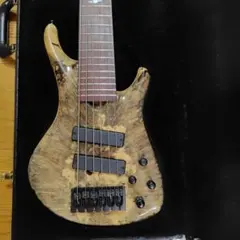 Warwick Custom Shop Thumb Bass NT5 - メルカリ