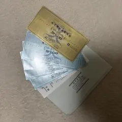 ゼビオホールディングス株主優待20% OFF 割引券 複数枚セット