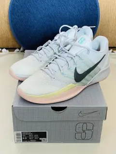 lebron21 28cm レブロン21 グローバルラスト - メルカリ