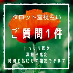 【今すぐ鑑定OK】相談1件占います！じっくり深掘り鑑定！タロット霊視鑑定