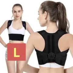 Bodykoo 姿勢サポーター 姿勢ベルト 背筋ベルト 脱着簡単 Lサイズ
