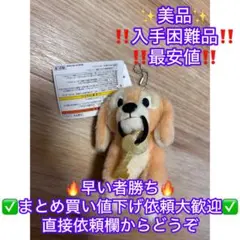 東京ディズニーランドカリブの海賊 鍵犬 ぬいぐるみバッジ 35周年タグ付き