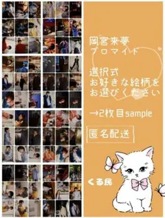 岡宮来夢 ブロマイド　まとめ売り　170枚 岡宮来夢 ブロマイド まとめ売り 170枚