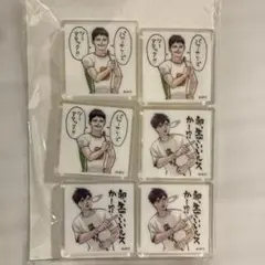 ハイキューキャラクターイラスト アクリル タイル6個セット