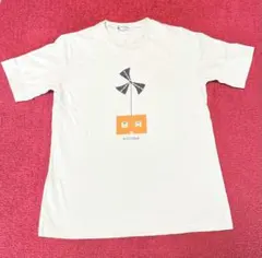 美品　ピッコーネ PICONE 若草色　Tシャツ サイズ38のサムネイル