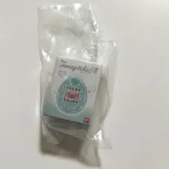 Ringcolle！たまごっち4