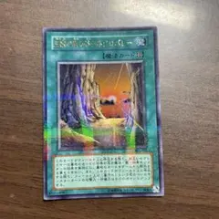 2026年最新】ネクロバレー パラレルの人気アイテム - メルカリ