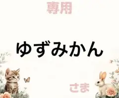 専用