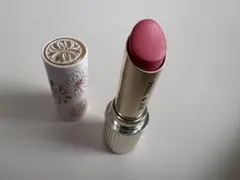 ポール&ジョー　リップスティック　ケース N 02