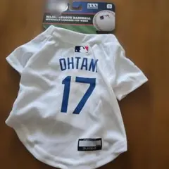 Item thumbnail for item 02d61279-4d21-4698-82c5-7d0c4e5914ae