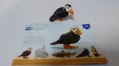 Item thumbnail for item 14fd4468-f297-4e34-b31f-b838a10b4976