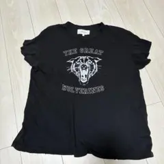 Deuxieme Classe ANINE BING LEOPARD Tシャツ - メルカリ