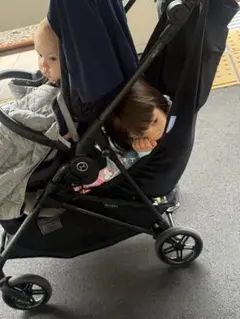 Hoppie 追加シート ハンモック