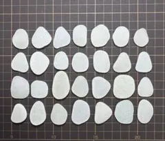 Item thumbnail for item beabdc40-cc38-4a99-a303-c211fefe77e6