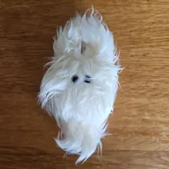 2025年最新】NMixx モケモケ ヘウォンの人気アイテム - メルカリ