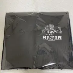 Item thumbnail for item 95828a95-699b-410d-9297-37d1333091c5